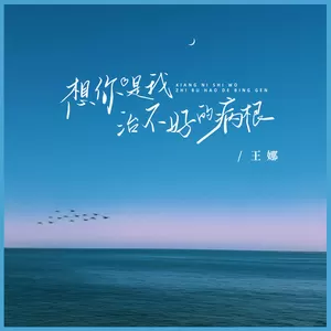 王娜 - 想你是我治不好的病根(和声伴奏)