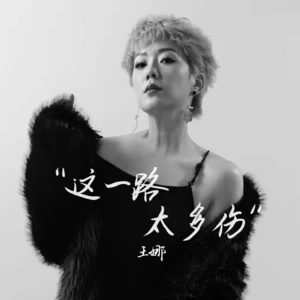 这一路太多伤(DJ豪大大版)