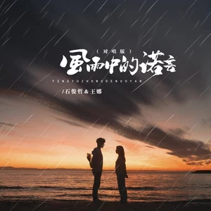 王娜/石俊哲 - 风雨中的诺言（对唱版）