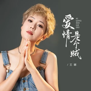 王娜 - 爱情是个贼(伴奏)