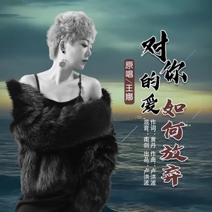卢洪波/王娜 - 对你的爱如何放弃