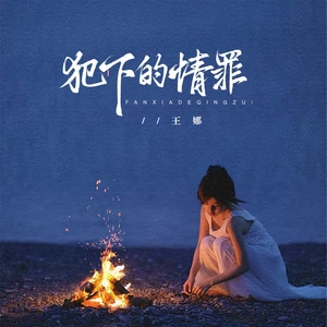 犯下的情罪（DJ京仔版）