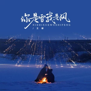 王娜 - 你是雪我是风(DJ京仔版)(伴奏)