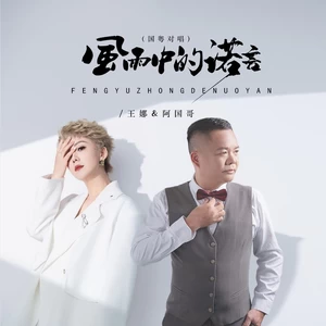 阿国哥 - 风雨中的诺言（DJ京仔国粤对唱）