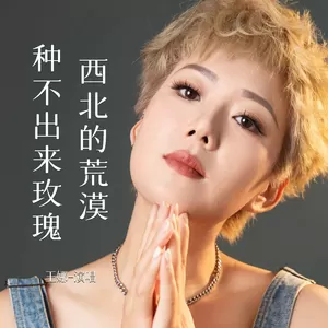 王娜 - 西北的荒漠种不出来玫瑰