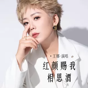 王娜 - 红颜赐我相思酒(DJ阿能版)