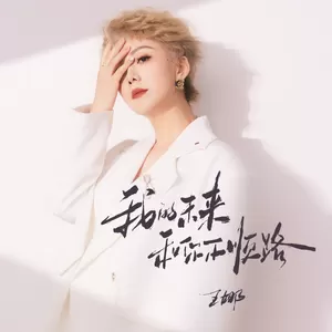 王娜 - 我的未来和你不顺路(DJ默涵版)