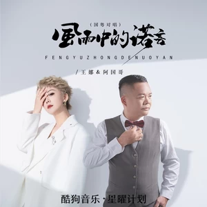 王娜/阿国哥 - 风雨中的诺言（国粤对唱）