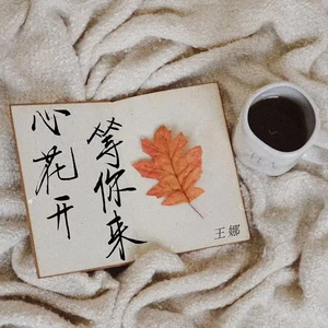 心花开 等你来(DJ童波版)