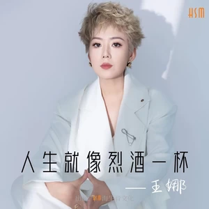 人生就像烈酒一杯(伴奏)