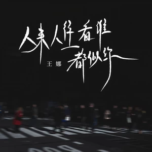 王娜 - 人来人往看谁都似你(伴奏)