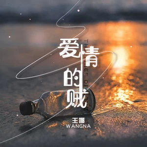 王娜 - 爱情的贼