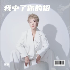 王娜 - 我中了你的招