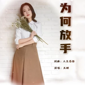 为何放手（女声版）(伴奏)