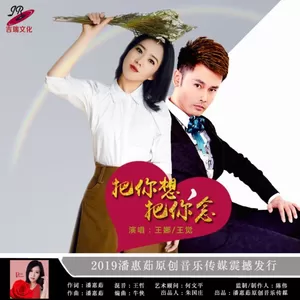 王娜/王觉 - 把你想，把你念(伴奏)