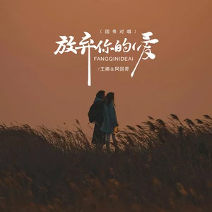 阿国哥/王娜 - 放弃你的爱（国粤对唱）