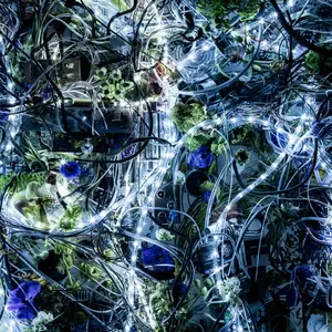 Aimer/Chelly - ninelie