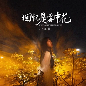 王娜 - 回忆是雾中花