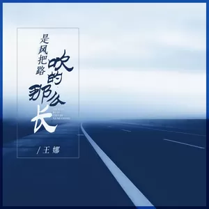 王娜 - 是风把路吹得那么长