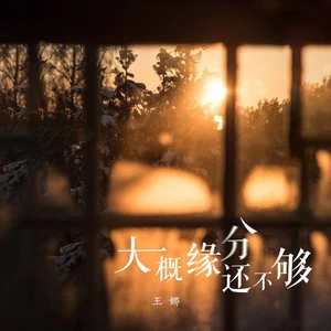 王娜 - 大概缘分还不够