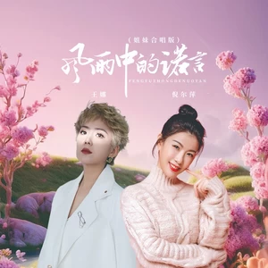王娜/倪尔萍 - 风雨中的诺言（姐妹合唱版）