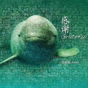张靓颖 - 画心Ⅱ