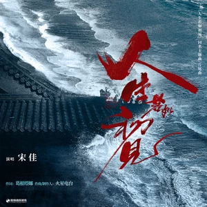 宋佳 - 人生若如初见