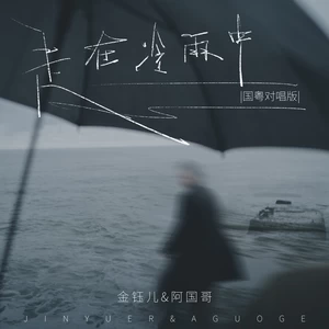 金钰儿/阿国哥 - 走在冷雨中(国粤对唱版)