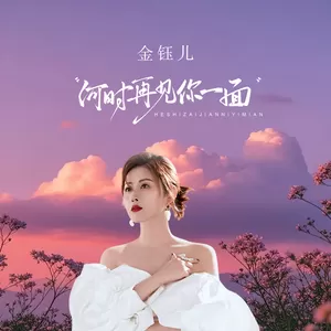 金钰儿 - 何时再见你一面