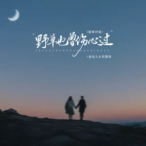 金钰儿/阿国哥 - 野草也曾伤心过(国粤对唱)(伴奏)
