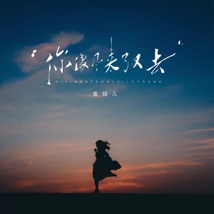金钰儿 - 你像风来了又去