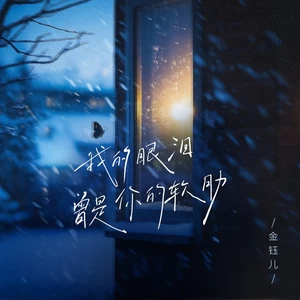 金钰儿 - 我的眼泪曾是你的软肋(DJ铁柱版)