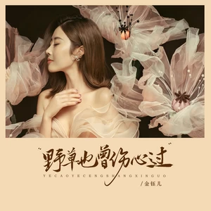 野草也曾伤心过(伴奏)