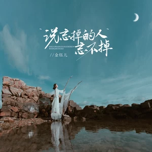 说忘掉的人忘不掉(伴奏)