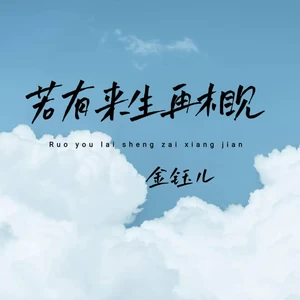 金钰儿 - 若有来生再相见(伴奏)