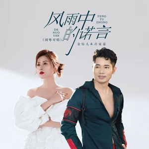 金钰儿/许家豪 - 风雨中的诺言（国粤对唱）