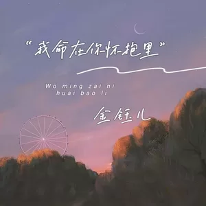 我命在你怀抱里(伴奏)