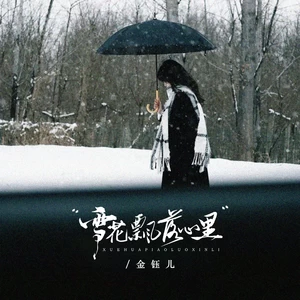 雪花飘落心里（DJBanan版）