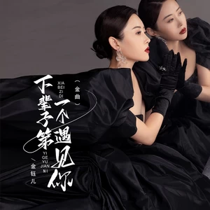 下辈子第一个遇见你（金曲）(伴奏)