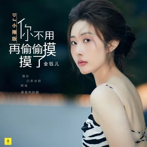 你不用再偷偷摸摸了(DJ小刚广场舞版)