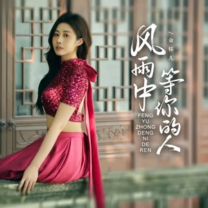金钰儿 - 风雨中等你的人(DJ京仔版)(伴奏)