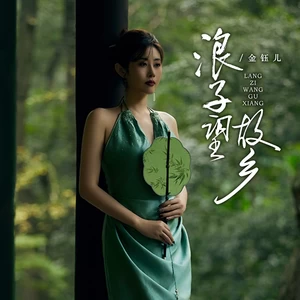 金钰儿 - 浪子望故乡（DJBaban版）