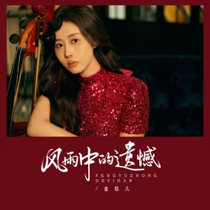金钰儿 - 风雨中的遗憾(DJ京仔版)(伴奏)