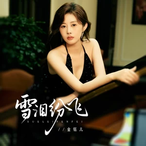 金钰儿 - 雪泪纷飞(DJBanan版)(伴奏)