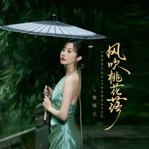 风吹桃花落（DJ嘉年华版）(伴奏)