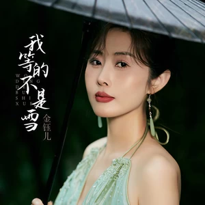 我等的不是雪(DJ九零版)