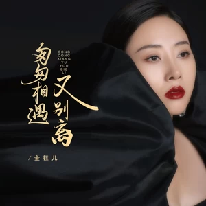 匆匆相遇又别离(伴奏)