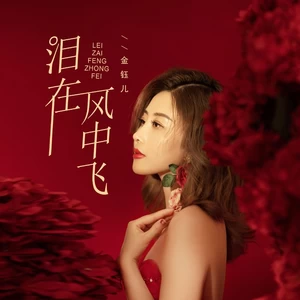 金钰儿 - 泪在风中飞(DJBanan版)