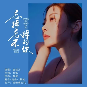 金钰儿 - 忘掉忘不掉的你(伴奏)