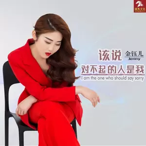 金钰儿 - 该说对不起的人是我